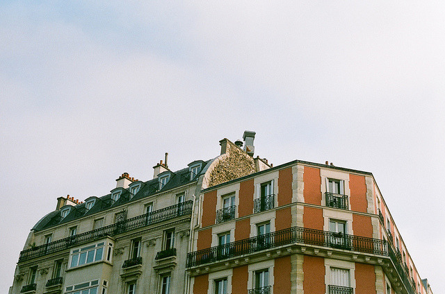 wallflowersndwellingtons:  untitled by bleuets. on Flickr. 