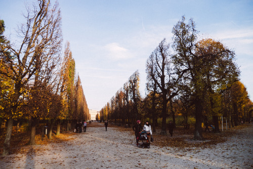 schönbrunn