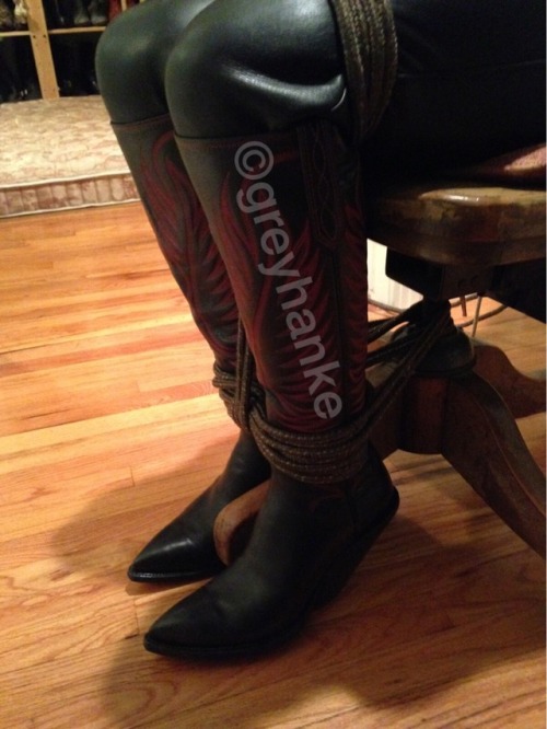 greyhanke:Cowbound ©greyhanke