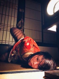 justscreenshots:Shibari & Photo Shigonawa