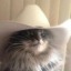 chiefcatherder