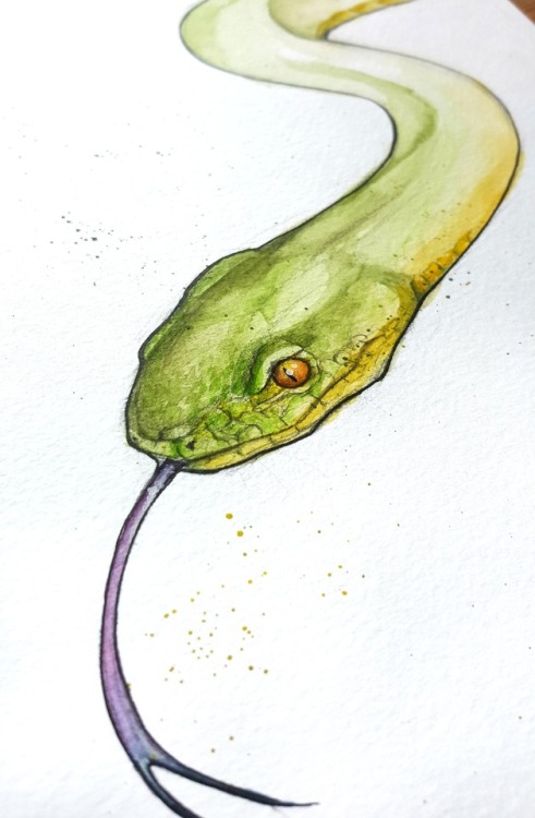Snake illustration from a while ago. Still one of my favourites…