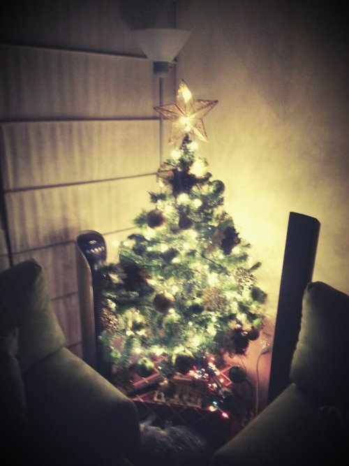 Y As Qued El Arbolito Ya Con Ms Luces Jejeje #ME #xmas #navidad #andrography #mexico (from @mikemdf On