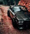 4theluvofwheels:Nissan Skyline…. Hakosuka adult photos