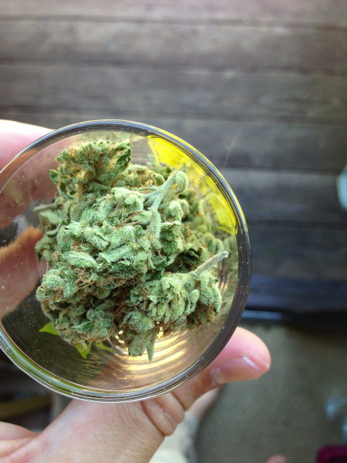 andrewallenmoore:  the white chem (50/50) #dontforgettheflowers 