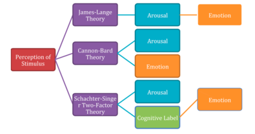 Theories of EmotionEmotionPhysiological arousal (heart pounding)Expressive behaviors (quickened pace