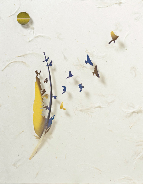 itscolossal:  Using feathers acquired from zoos and private aviaries artist Chris Maynard transforms them into fascinating miniature shadowboxes.