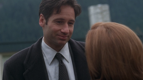 gillianandersonssideboob:he’s so in love