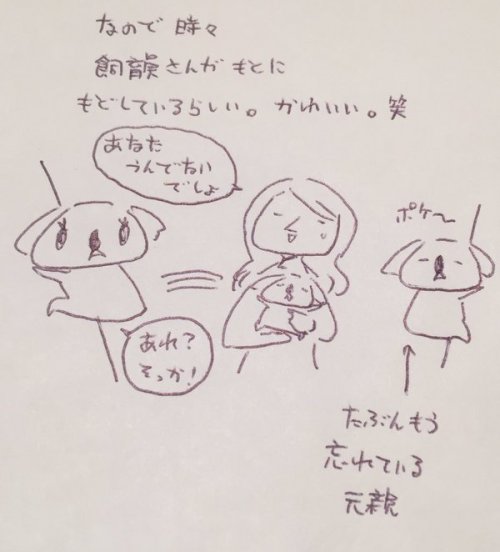 はしあさこ　‏@achakotya添乗員さんに聞いたコアラ話があまりにも可愛かったのでメモ。コアラがより好きになりましたわ、笑