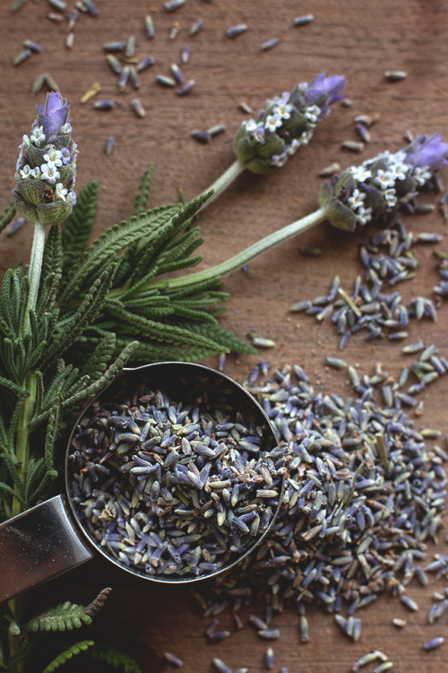 Herbal Lemonade Station