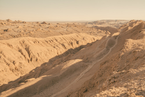 julianajohnsonphoto:One of the best days of my lifeValle de la Luna, Atacama Desert, ChileMarch 2018