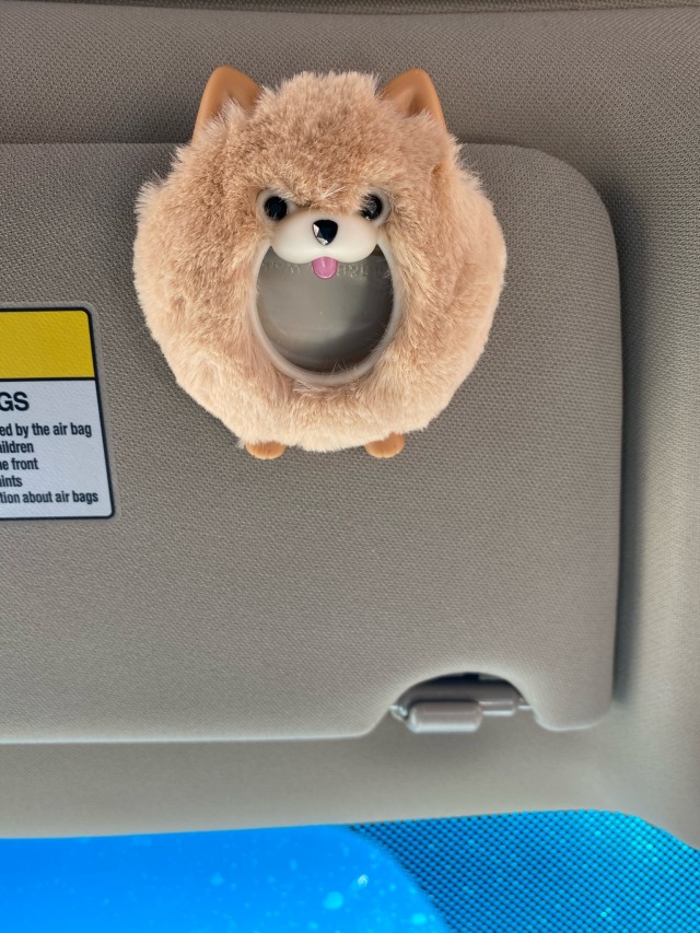 my car’s air freshner