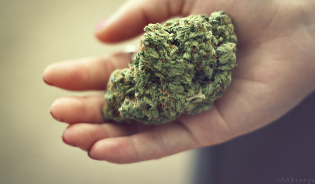 Another 420 Weed Blog