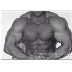 121muscle:  BIG MARC #gayescort #gayescortagency