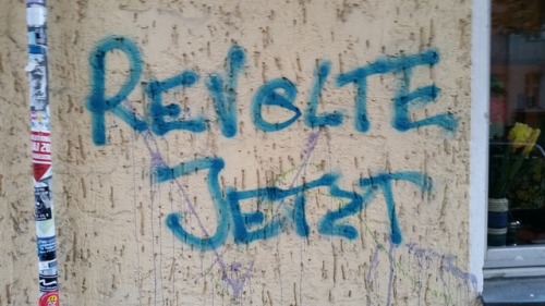 ‘Revolt Now!’Berlin, June 2017