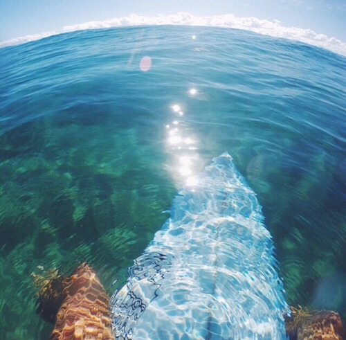 asurferdreams:  Surfing posts