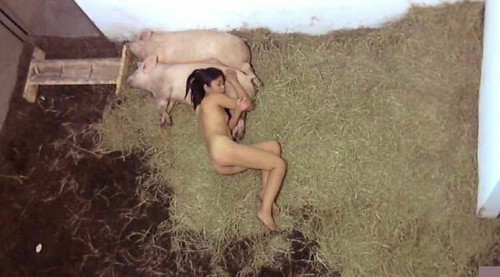 thehumiliater: pig farming