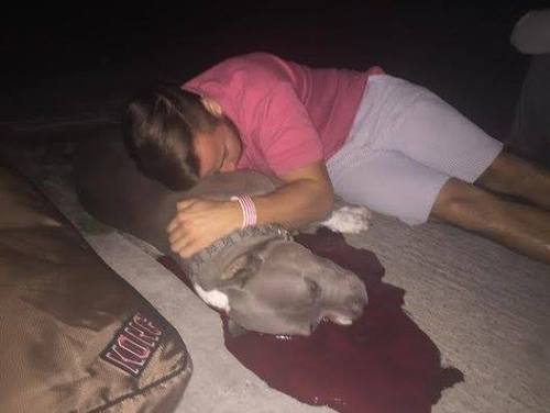 yourhatedideal:  hailuniverse:  dreamland51:  toteardown:  thinksquad:    This is a picture of Burberry and Ian. At 5:00 in the morning police showed up to the wrong address, Ian Anderson’s home. Burberry the service dog, whom Ian would take to see