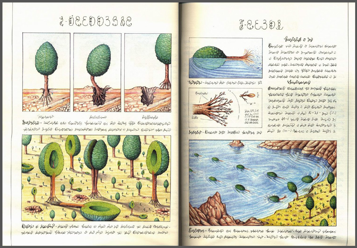 Codex Seraphinianus. Someday, i will have an actual copy of this book.  &hellip;if