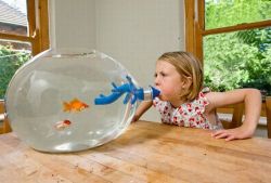 nazmatik:﻿ｂｒｅａｔｈｅ  ｉｎｔｏ  ｔｈｅ  ｆｉｓｈ  ｏｒｂ，  ｃｈｉｌｄ