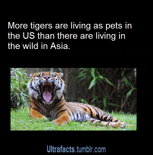 ultrafacts:  More facts on Ultrafacts