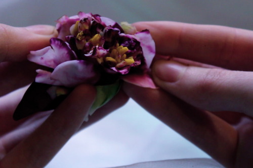 princex-misdreavus: For Every Flower Forced To Bloom, 2013  digital film stills i have never fe