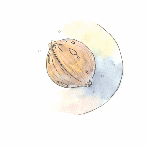 Drawinlife luccdrawinlife tumblr blog tumlook