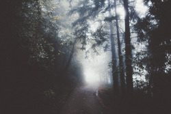 elenamorelli:  { in a misty mood }