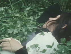 roserosette:     Emotion, 1966, Nobuhiko