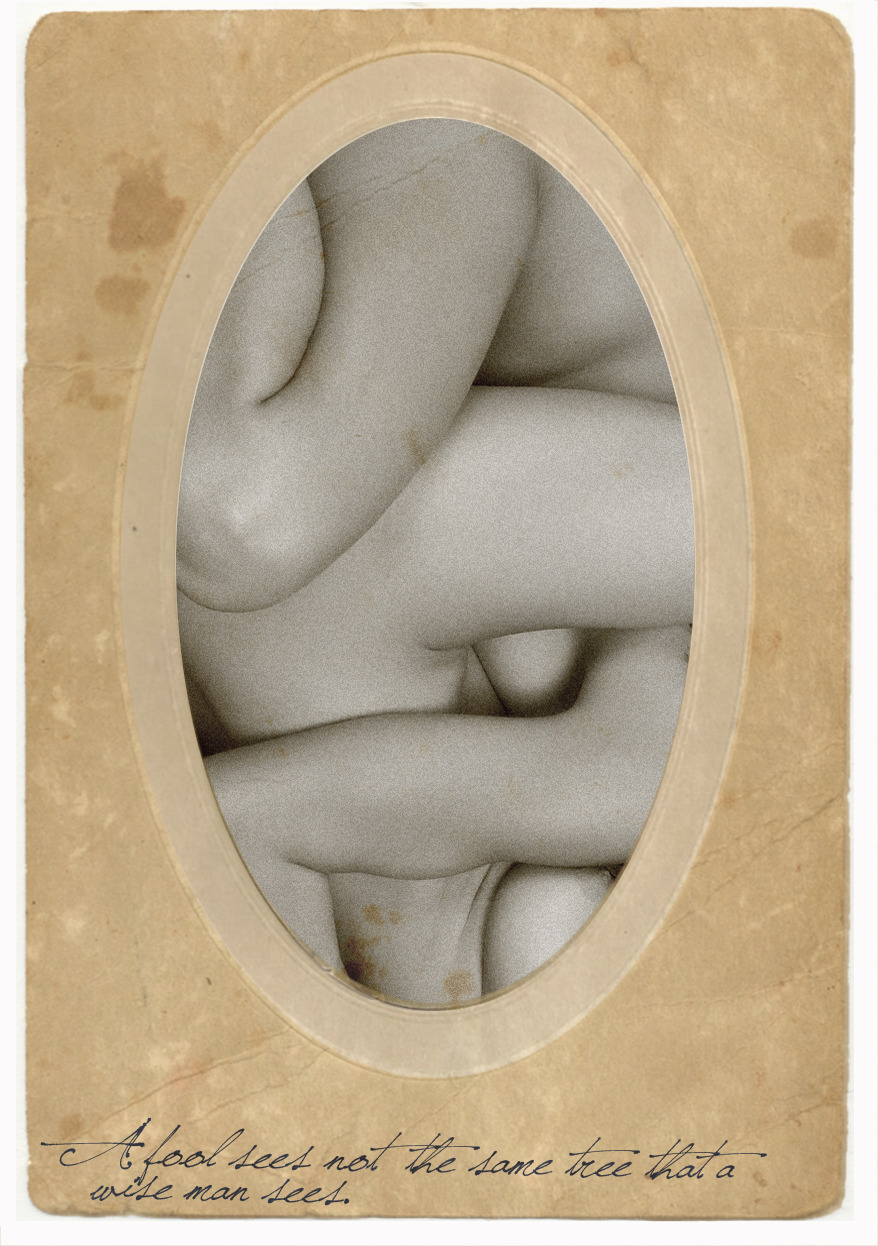 acetylene-eyes: Source unknown - Title unknown (19XX) A fool sees not the same tree