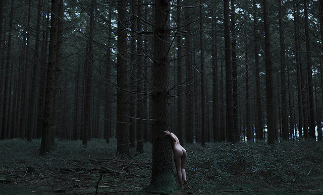 lucy-likes-to-dream:  Organic I by Miriam Valle on Flickr. 