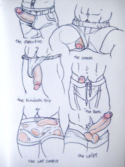 ppmaqero:  Nice cute fancy ways to expose your dick! From my penis sketchbook, sorry for the terrible quality my, camera sucks for indoor photographs. (and I had a freaking lamp turned to it) any faves ? is one of these your signature move ? did I