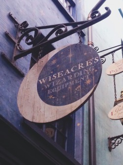 kozmotisblack:  The signs in Diagon Alley 