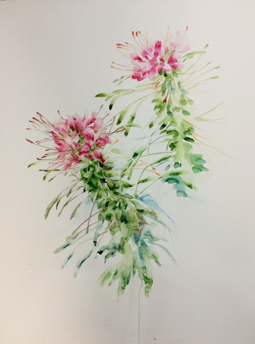 opens tonight, Wed, Aug 3, 7-9p:“A Peculiar Nature” Sirikul Pattachote &amp; Ta