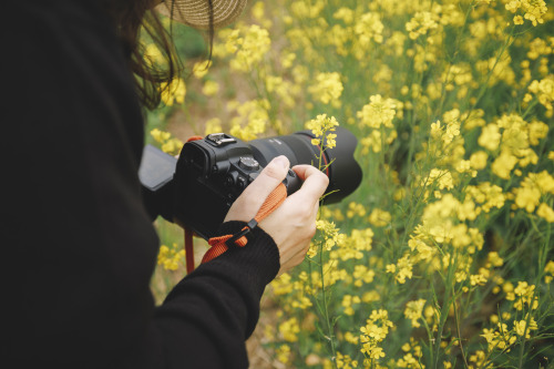 2022-04-23rape flowersCanon EOS R3 + RF15-35mm f2.8L ISInstagram  |  hwantastic79vivid