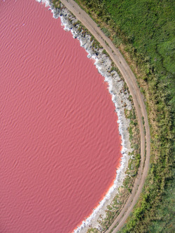 vvhiskers:  Salt Evaporation Pond (by KAP Cris) 