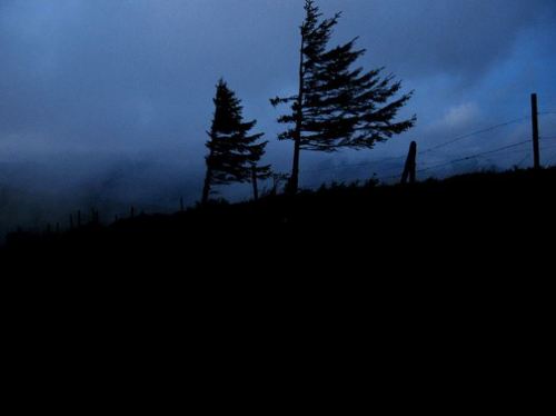 sicsen:  Glow Blog 
