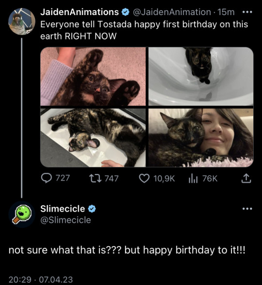 Updates On Charlie Slimecicle! — Charlie replied to Jaiden on twitter!  [Image ID