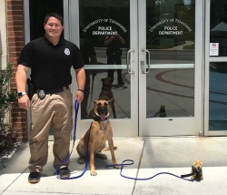 doggos-with-jobs:  When it’s bring your dog to work day, but you’re a K-9 unit.