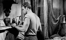 babeimgonnaleaveu:    Marlon Brando in A Streetcar Named Desire (1951)   