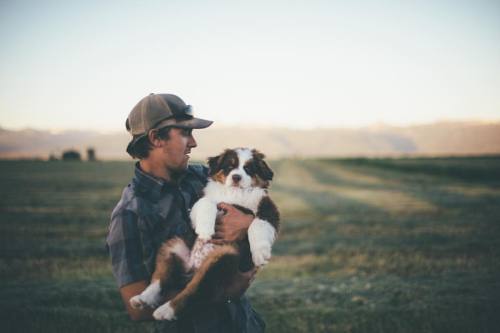 camrindengel:Our little Cowboy is growing up so fast. #aussiepuppy #puppylove #australianshepherd