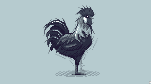 620. Leghorn Roosteran attempt at imitating a pencil sketch in pixels