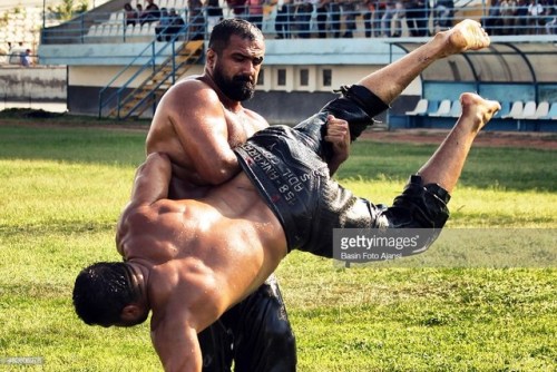 rovensstuff:tetonmountainman: aieaguy: I *love * Turkish wrestling. Turkish oil wrestling….. 