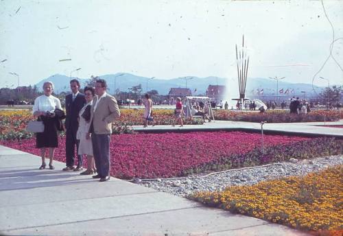 Neue fotografische Eindrücke von der Wiener Internationale Gartenschau 1964 (WIG64) auf dem Gebiet d