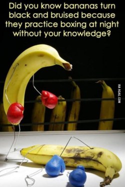 9gag:  That makes sense. 