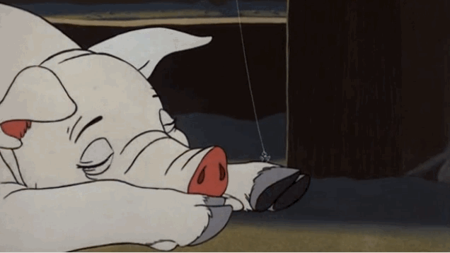 Charlottes Web Explore Tumblr Posts And Blogs Tumgir