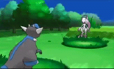zoro4rk:  New Mewtwo From X & Y Gameplay   :0