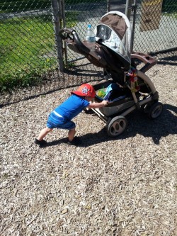 K daddy, am I gonna have to push this damn stroller myself or are you gonna put me in it so  you can take me home for my nap?  #park