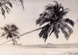 apeninacoquinete:  Tuamotu, 1970.