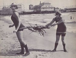 retrogasm:  Mr. Krabs No! 